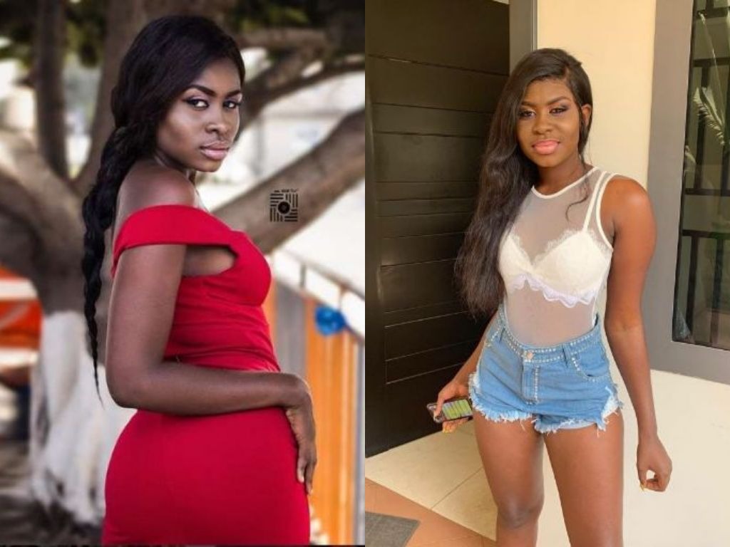 what-is-home-economics-j-s-1-lesson-note-first-term-mr-ojajuni