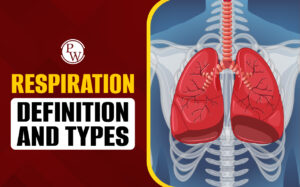 WHAT IS RESPIRATION AND ITS TYPES | Biology | Respiration In Animals
